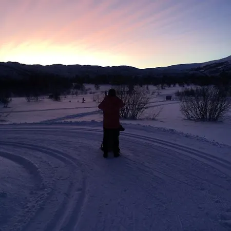 In Out In Geilo, Comfortable And Family Friendly *