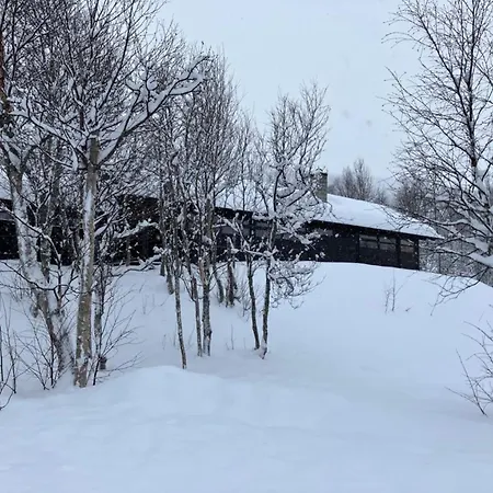 Feriehus In Out In Geilo, Comfortable And Family Friendly Geilo