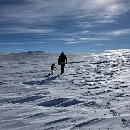 In Out In Geilo, Comfortable And Family Friendly