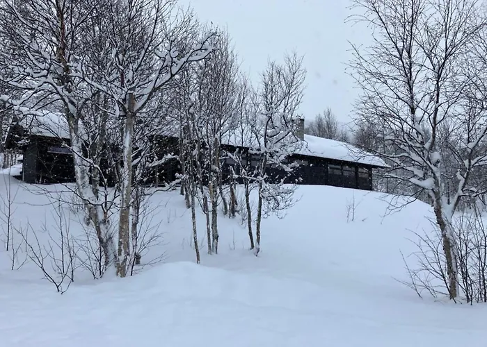 Feriehus In Out In Geilo, Comfortable And Family Friendly Geilo