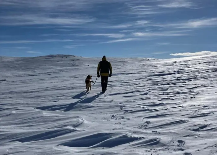 In Out In Geilo, Comfortable And Family Friendly